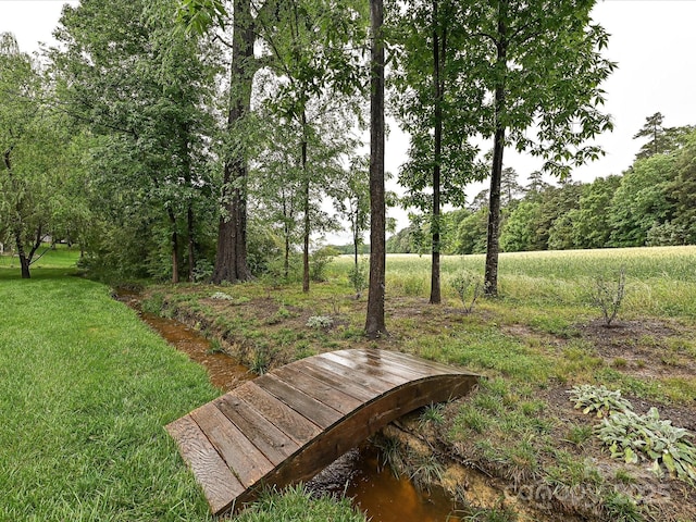 3409 Valdosta Ct, Monroe, NC 28110 - view of community featuring a yard