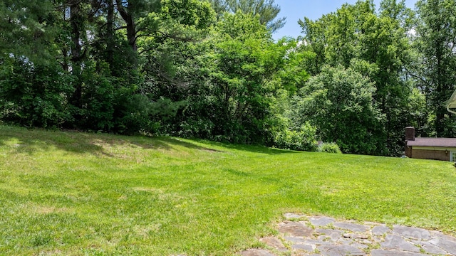 713 Crozet St NW, Valdese, NC 28690 - view of green lawn