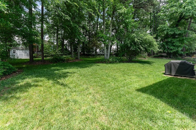 10322 Stoneykirk Ln, Charlotte, NC 28269 - view of green lawn with a storage shed and an outdoor structure