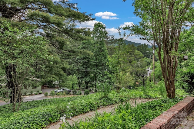 8 Chunns View Dr, Asheville, NC 28805 - photo 47