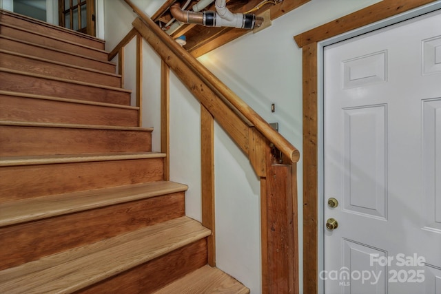 8 Chunns View Dr, Asheville, NC 28805 - photo 39