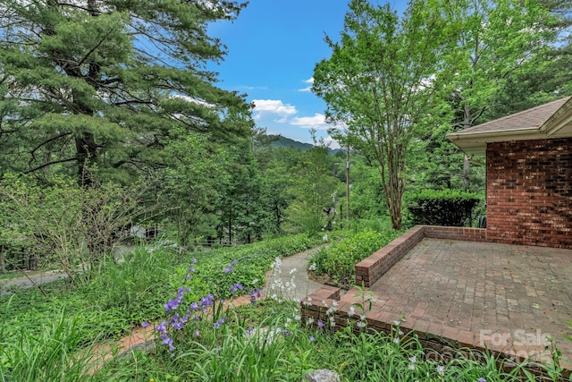 8 Chunns View Dr, Asheville, NC 28805 - photo 45