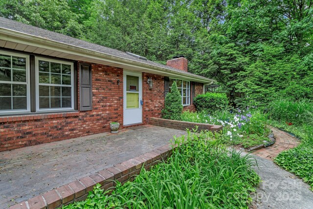 8 Chunns View Dr, Asheville, NC 28805 - photo 46