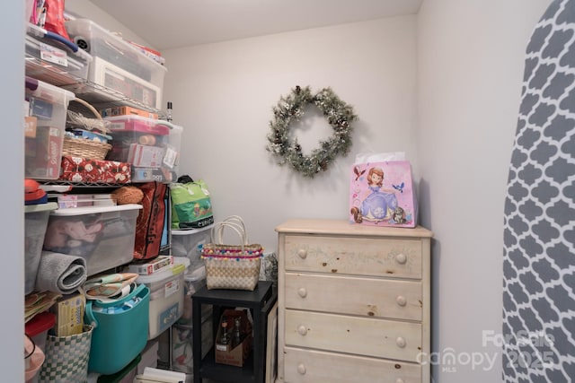 148 Adelaide Way, Rock Hill, SC 29732 - view of storage area
