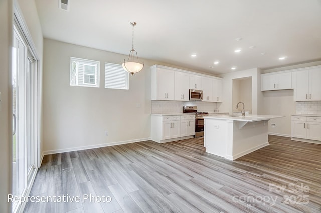 2233 Tabor Rd Unit 586, Sherrills Ford, NC 28673 - kitchen featuring appliances with stainless steel finishes, decorative backsplash, light countertops, a sink, and light wood-style floors