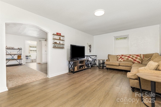 875 Marys Grove Rd, Cherryville, NC 28021 - living room featuring arched walkways and light wood-style floors