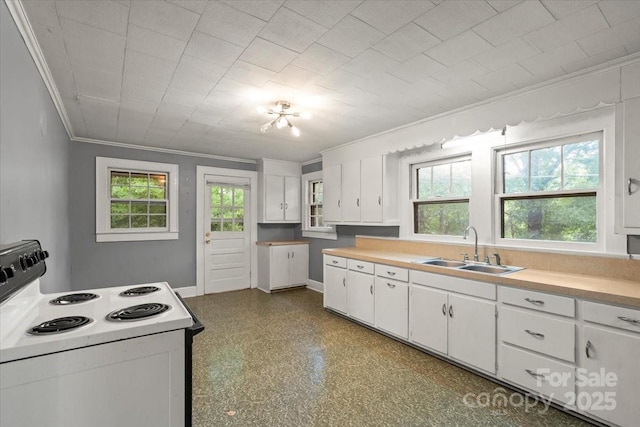 24515 Saint Martin Rd, Albemarle, NC 28001 - kitchen featuring white electric range oven, a sink, crown molding, white cabinets, and light countertops
