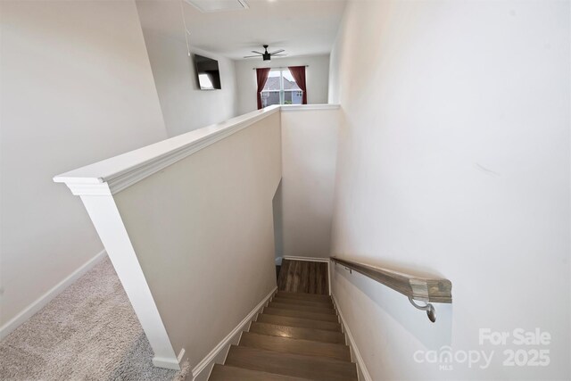 11101 Crane Creek Dr, Charlotte, NC 28278 - photo 27