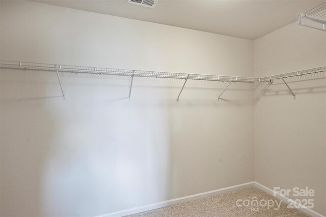 11101 Crane Creek Dr, Charlotte, NC 28278 - photo 34
