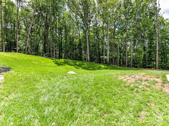 167 Greenbay Rd, Mooresville, NC 28117 - photo 43