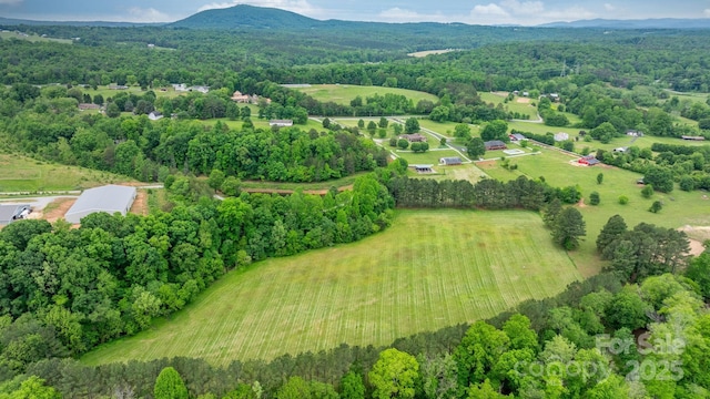 aerial view of a forest and a mountainous background
