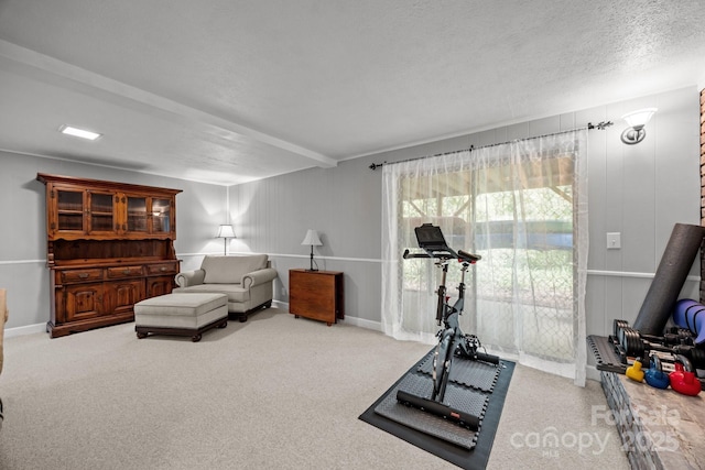 931 Indian Hill Rd, Hendersonville, NC 28791 - workout room with carpet flooring and baseboards