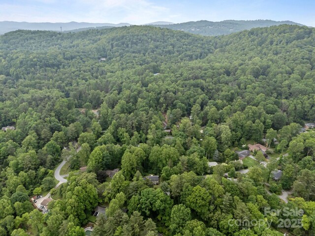 931 Indian Hill Rd, Hendersonville, NC 28791 - drone / aerial view of a forest and a mountain backdrop
