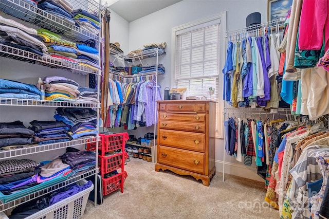 5826 Natoma Rd, Lake Wylie, SC 29710 - walk in closet with carpet