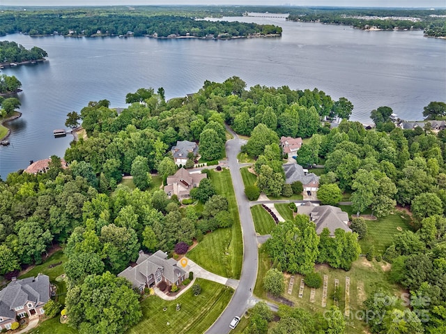 5826 Natoma Rd, Lake Wylie, SC 29710 - aerial perspective of suburban area with a nearby body of water and a tree filled landscape