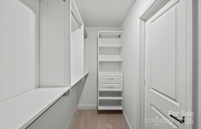 spacious closet featuring light carpet
