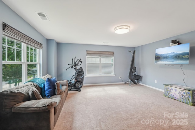 5812 Dinsmore Ln, Belmont, NC 28012 - living area with plenty of natural light, carpet flooring, and baseboards