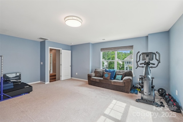 5812 Dinsmore Ln, Belmont, NC 28012 - workout area featuring carpet flooring and baseboards