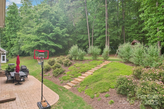 5812 Dinsmore Ln, Belmont, NC 28012 - view of green lawn with a patio area and a forest view
