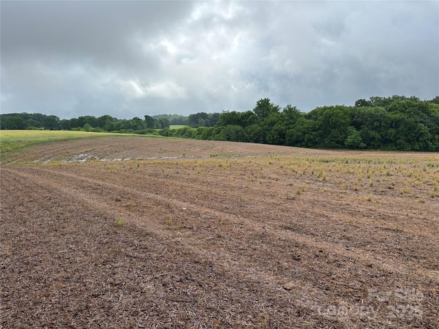 0 Old Pageland Marshville Rd, Marshville, NC 28103 - photo 2