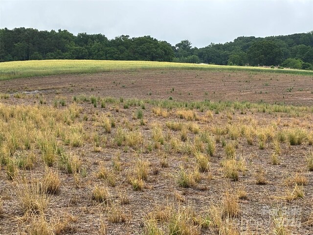 0 Old Pageland Marshville Rd, Marshville, NC 28103 - photo 5