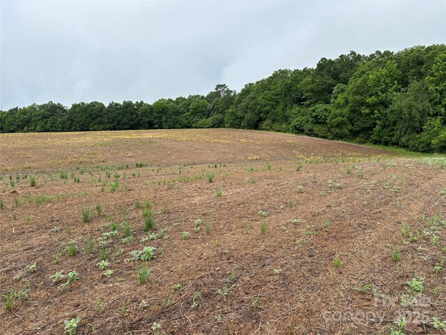 0 Old Pageland Marshville Rd, Marshville, NC 28103 - photo 6