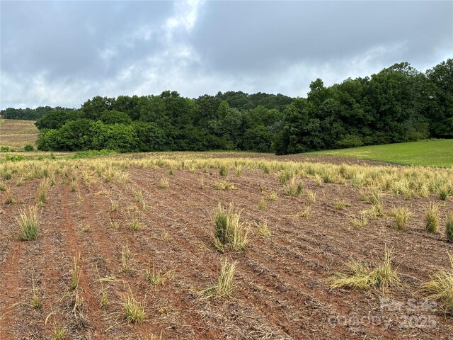 0 Old Pageland Marshville Rd, Marshville, NC 28103 - photo 7
