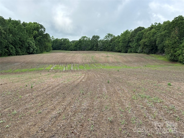 0 Old Pageland Marshville Rd, Marshville, NC 28103 - photo 11