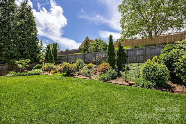296 Planters Creek Rd, Fletcher, NC 28732 - view of yard