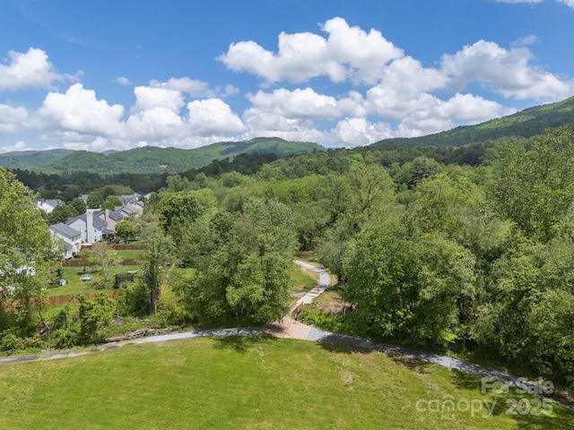 296 Planters Creek Rd, Fletcher, NC 28732 - view of mountain background featuring a forest