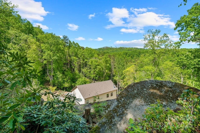 143 Burnside Trl, Hendersonville, NC 28792 - photo 37