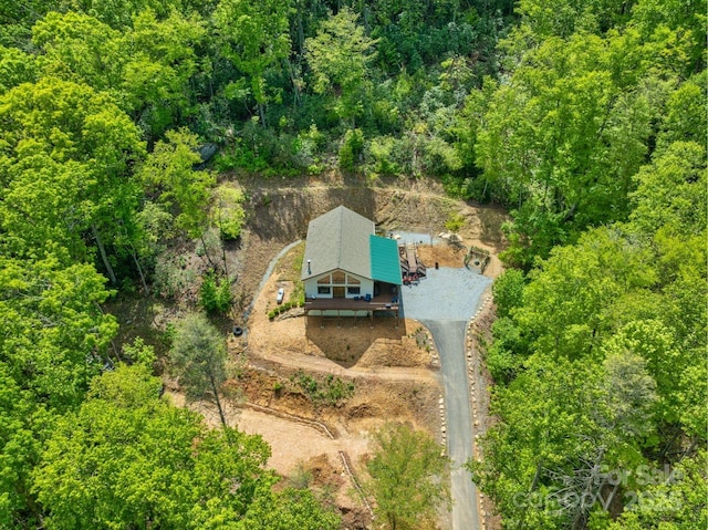 143 Burnside Trl, Hendersonville, NC 28792 - photo 38