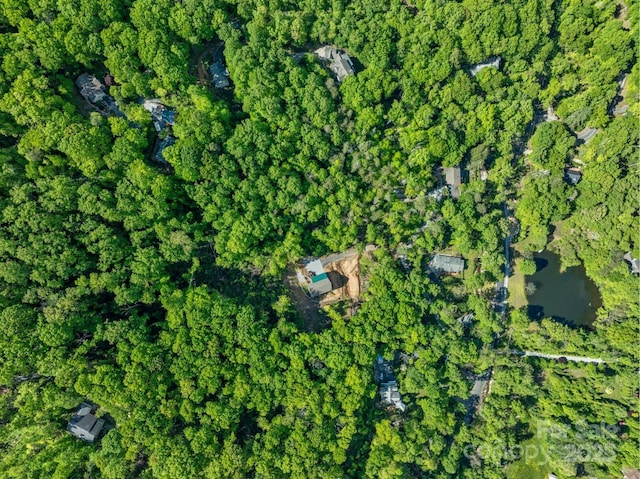 143 Burnside Trl, Hendersonville, NC 28792 - photo 39