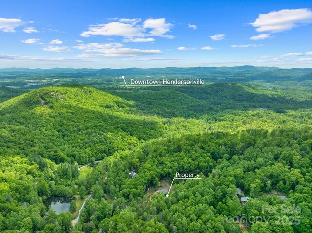 143 Burnside Trl, Hendersonville, NC 28792 - photo 41