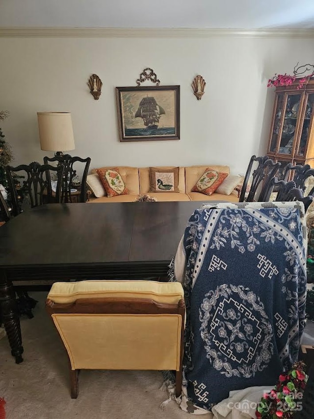 100 Boros Lndg, New Bern, NC 28560 - carpeted living room featuring ornamental molding