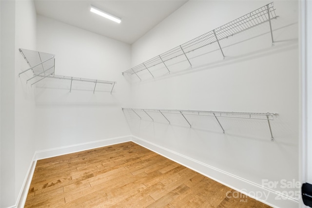 walk in closet featuring light wood-style floors