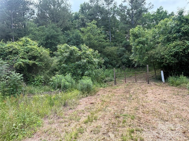 160 Pine Log Rd, Polkton, NC 28135
