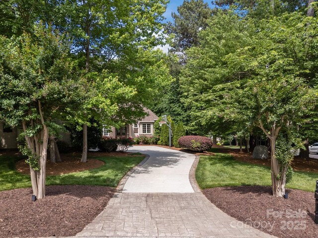 104 Golden Bell Ct, Mooresville, NC 28117 - view of home's community featuring decorative driveway and a lawn