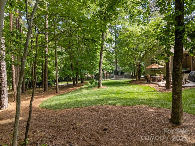 104 Golden Bell Ct, Mooresville, NC 28117 - view of yard featuring a patio area