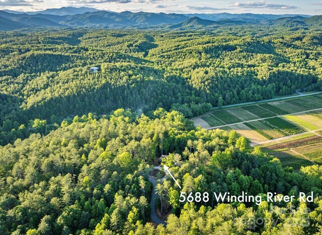 5688 Winding River Rd, Lenoir, NC 28645 - aerial view of property and surrounding area with a forest and mountains