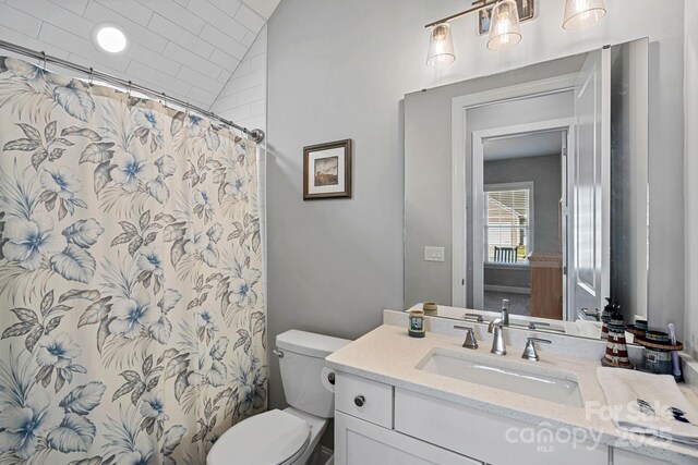 4532 Stellata Loop, Sherrills Ford, NC 28673 - bathroom with toilet, vanity, and a shower with curtain