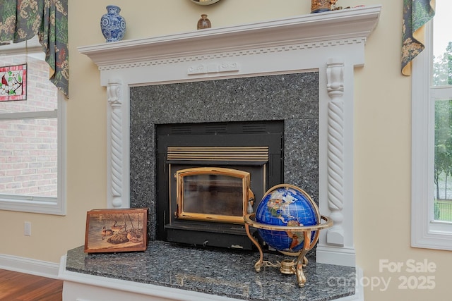 408 Emerald Bay Dr, Salisbury, NC 28146 - detailed view of a glass covered fireplace and wood finished floors