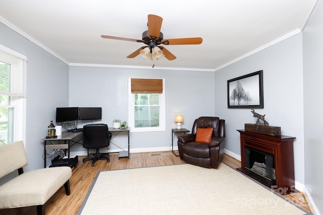 118 Sunset Dr, Clover, SC 29710 - office featuring plenty of natural light, wood finished floors, ornamental molding, and ceiling fan