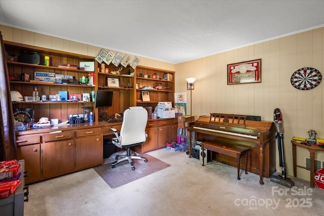 2701 Castes Dr, Pfafftown, NC 27040 - office area featuring light carpet, crown molding, and wooden walls