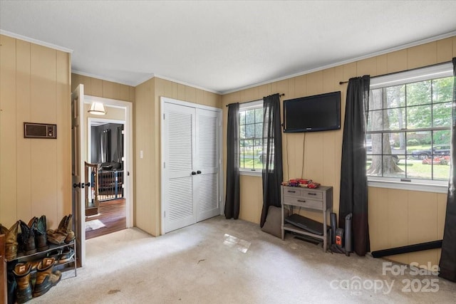 2701 Castes Dr, Pfafftown, NC 27040 - bedroom with ornamental molding, light carpet, and a closet