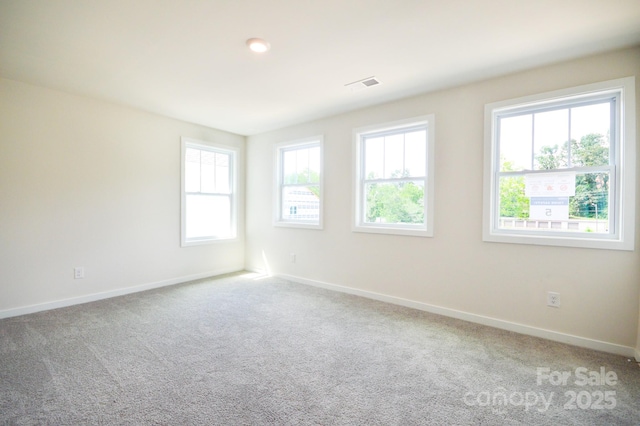 117 Sugg Trl, Weaverville, NC 28787 - photo 20