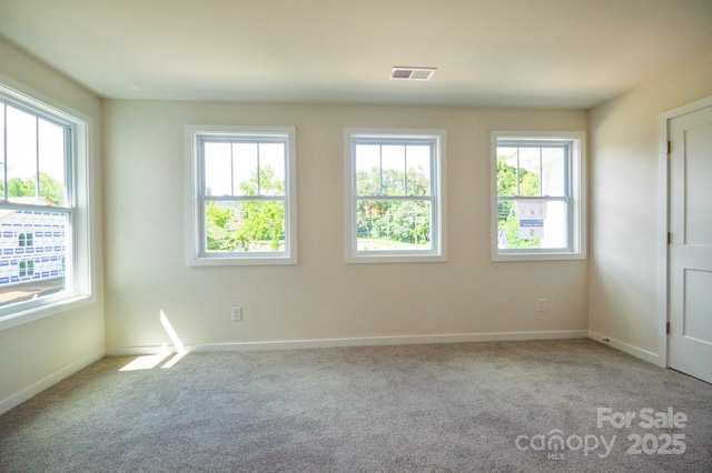 117 Sugg Trl, Weaverville, NC 28787 - photo 22
