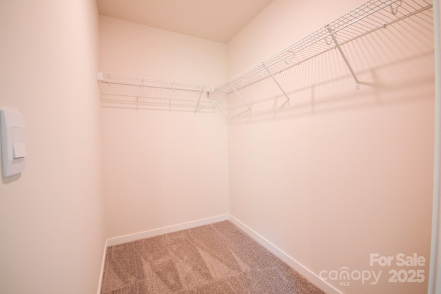 117 Sugg Trl, Weaverville, NC 28787 - photo 32