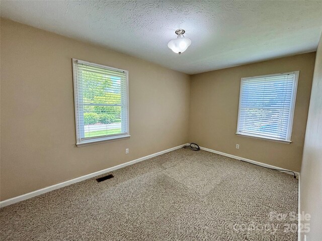34 W Broadleaf Dr, Hendersonville, NC 28739 - photo 16