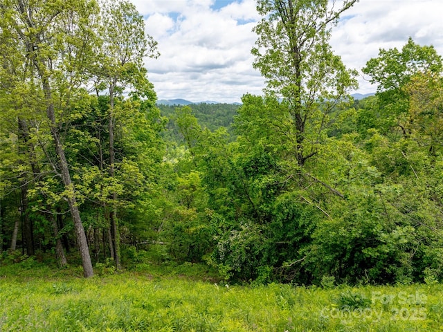 124 Summit Tower Cir, Asheville, NC 28804